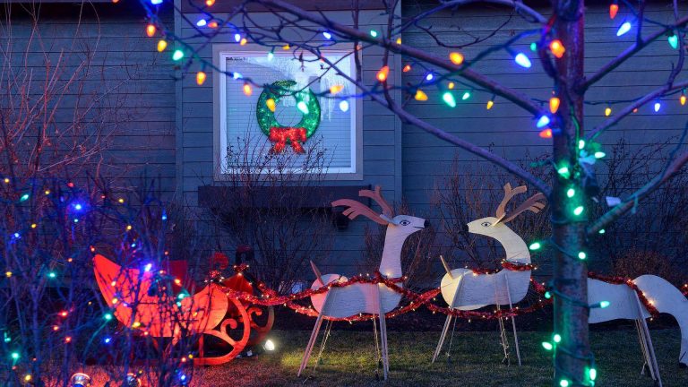 Weihnachtsbeleuchtung Blick in einen Garten mit beleuchteten Tieren und Lichterketten zu Weihnachten.