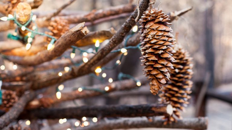 Weihnachtsbeleuchtung Detailansicht eines mit einer Lichterkette geschmückten Baumes im Winter.