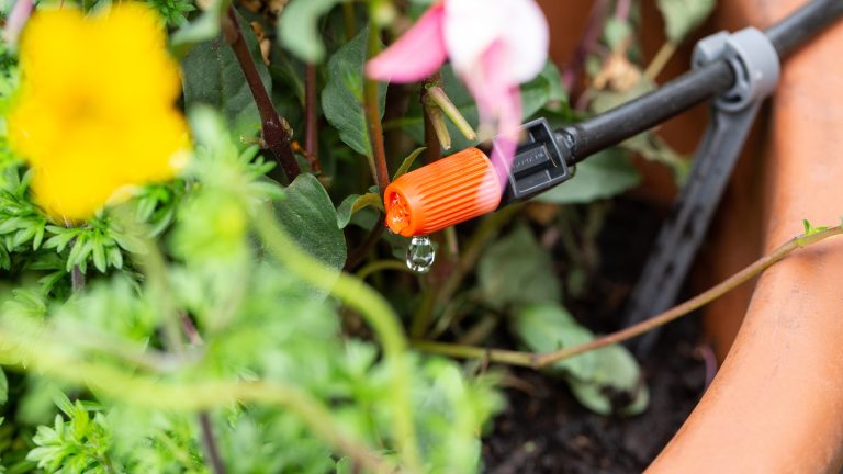 Gardena smart Water Control Am Ende des Bewässerungsschlauches tropft Wasser in einen Blumentopf.