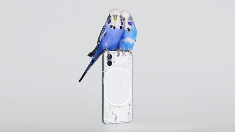 Nothing Phone Ein Nothing Phone (1) auf dem zwei blaue Vögel sitzen.