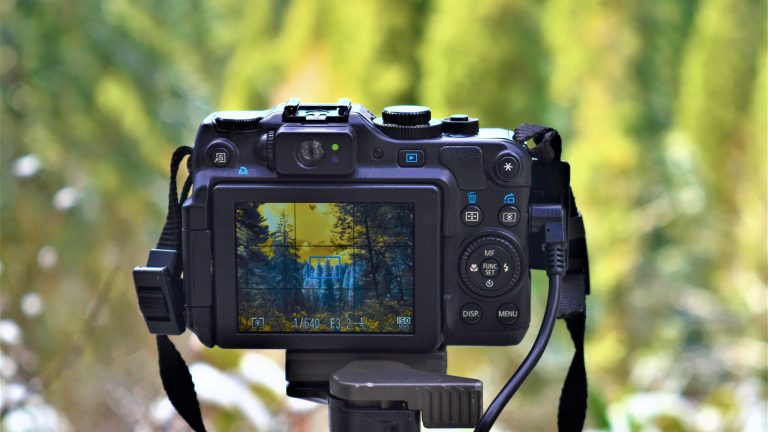 spiegellose Systemkameras Eine Kamera mit Display steht vor einer Waldlandschaft.