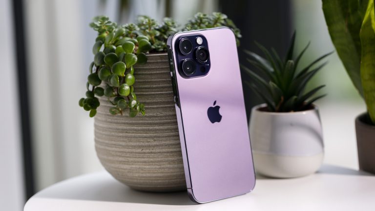 Ein iPhone 14 Pro Max lehnt umgedreht an einer Topfpflanze.