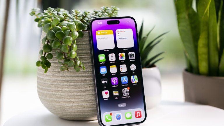 Ein iPhone 14 Pro Max lehnt an einer Topfpflanze.