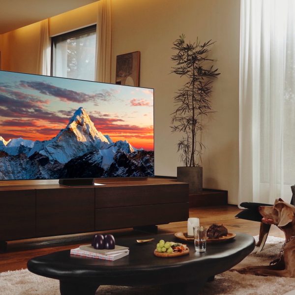 Blick in ein Wohnzimmer, in dem ein Samsung-Fernseher steht, auf den ein Hund schaut.