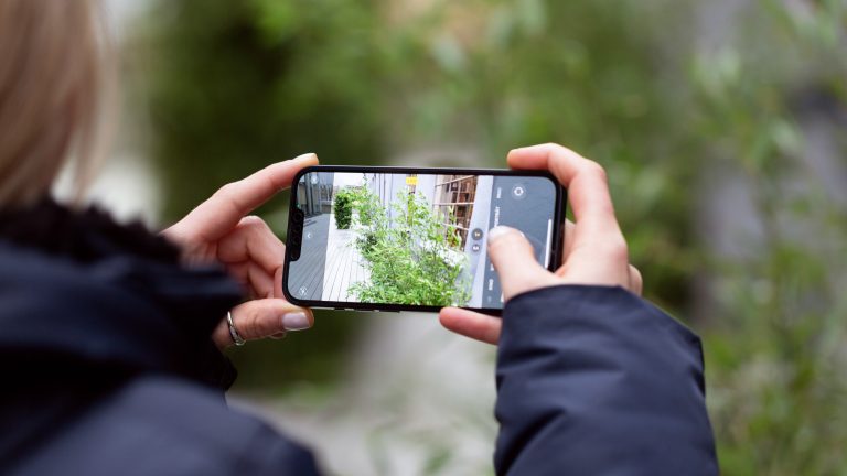 Eine Person hält ein iPhone in der Hand und macht ein Live Photo einer Pflanze.