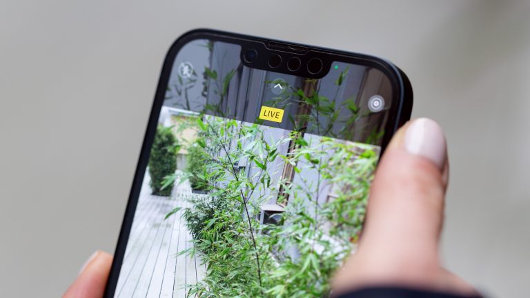 Detailansicht einer Fotoaufnahme mit aktivierter Live-Funktion.