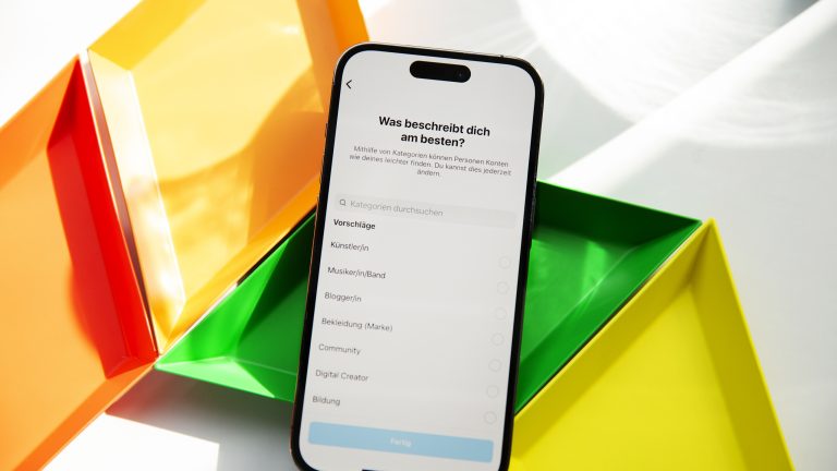 Instagram-Business1432 Blick auf die Professions-Auswahl in der Instagram-App.