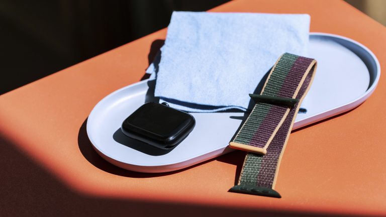 Eine auseinandergebaute Apple Watch liegt neben einem Putztuch in einer hellblauen Schale.