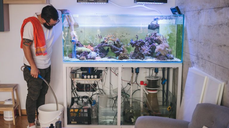 Eine Person hält das Ende des Schlauchs an den Bodengrund eines großen Aquariums. Im Unterschrank ist die verbaute Aquariumstechnik zu sehen.