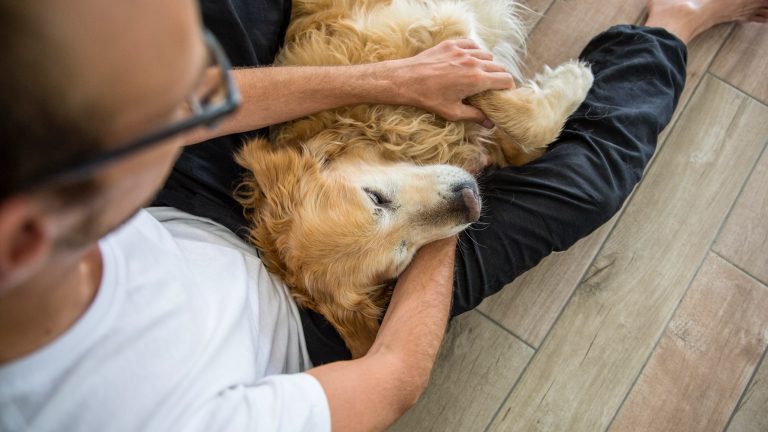 Eine Person sitzt mit einem Hund auf dem Schoß auf dem Boden.