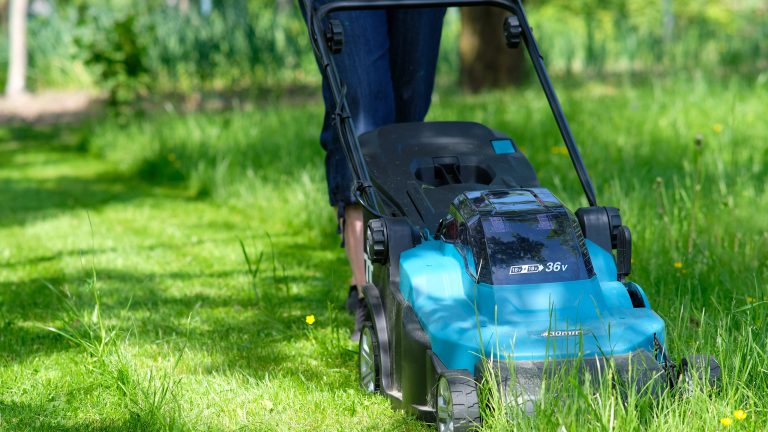 Elektro- vs. Akkurasenmäher: Der Vergleich Eine Person mit langer dunkler Jeans mäht ihren hohen Rasen mit einem blau-schwarzen Akkurasenmäher. Links ist schon gemäht und rechts hat die Person noch vor sich.