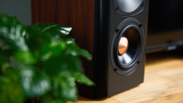 Spotify Connect Ein Standlautsprecher steht in einem Raum auf Holzfußboden vor einer Pflanze.