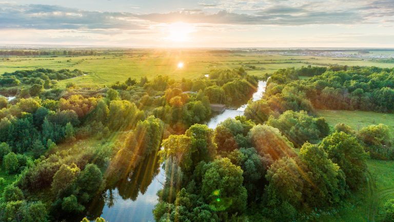 Foodwaste, So vermeidest du es, Lebensmittel wegzuschmeißen Eine grüne Landschaft, die von einem Fluss durchzogen ist aus der Vogelperspektive.