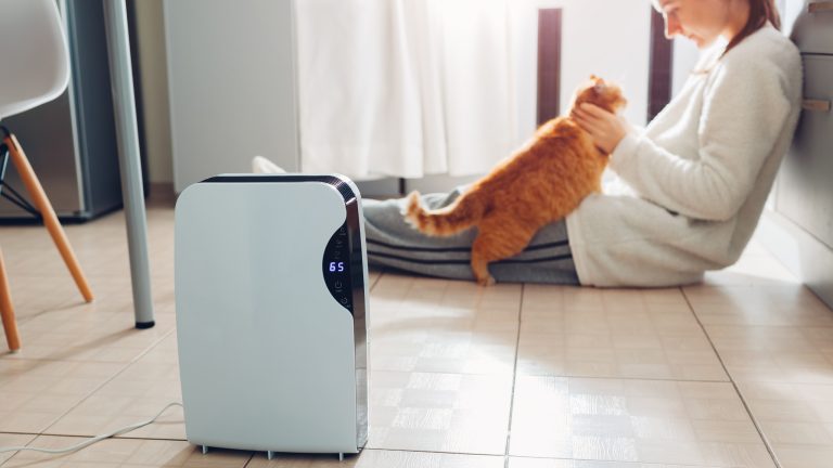 Luftentfeuchter, Geräte gegen zu feuchte Luft in den Räumen Ein Luftentfeuchter steht in der Küche. Im Hintergrund sitzt eine Person auf dem Boden und schmust mit einer Katze.