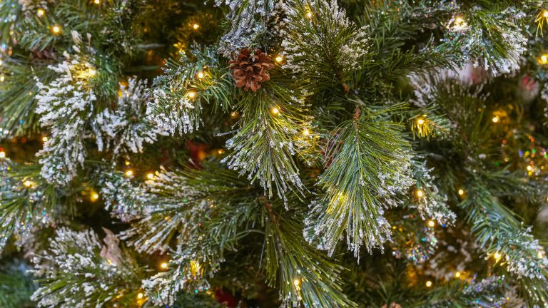 Weihnachtsbaeume mit Beleuchtung, die All-in-One-Tanne Nahaufnahme der Zweige einer All-in-One-Tanne, die leicht mit Schnee bedeckt sind.