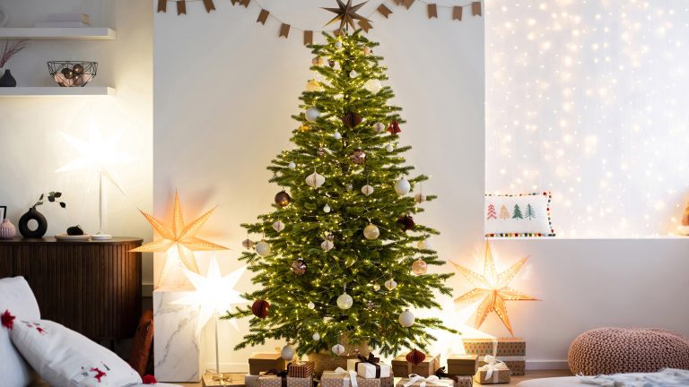 Weihnachtsbaeume mit Beleuchtung, die All-in-One-Tanne Eine beleuchtete All-in-One-Tanne steht im geschmückten Wohnzimmer – darunter liegen zahlreiche Geschenke.