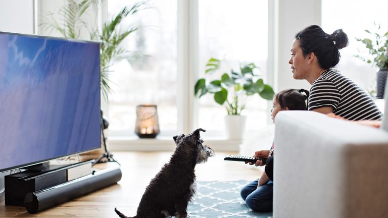 Full-HD, 4K und Co., HD-Auflösungen im Überblick Eine Person sitzt zusammen mit Kind und Hund auf dem Boden im Wohnzimmer und zielt mit der Fernbedienung auf den Fernseher.