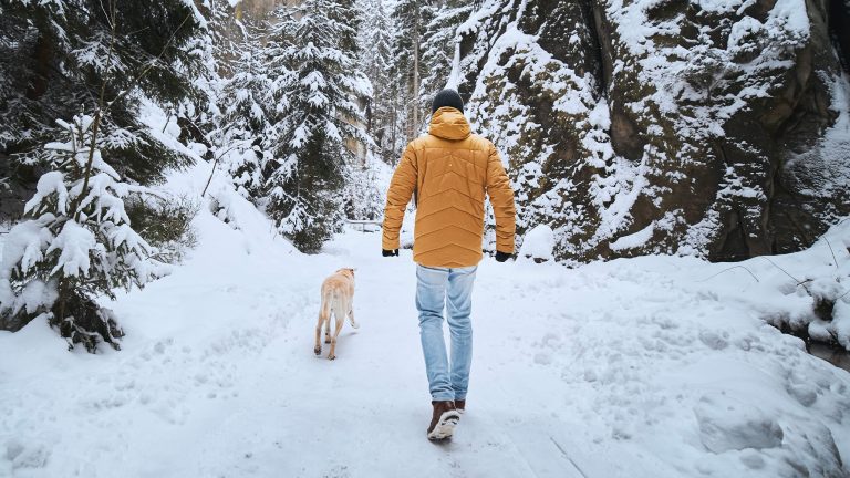Eine Person läuft auf einem schneebedeckten Waldweg mit einem Hund spazieren und ist dabei winterlich gekleidet.