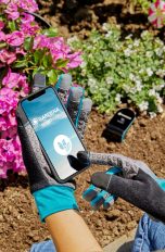Eine Person sitzt vor einem Blumenbeet. Sie trägt Gartenhandschuhe und hält ein Smartphone in den Händen, auf dessen Display sich gerade die Gardena-App öffnet.