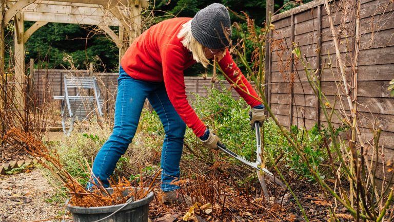 So machst du deinen Garten im Frühling fit Eine Person schneidet mit einer großen Gartenschere Büsche und Sträucher zurück.