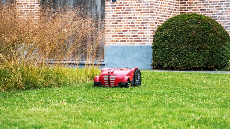 Ein Mähroboter fährt über eine Wiese. Im Hintergrund ist eine Hecke und ein Teil eines Ziegelsteinhauses zu sehen.