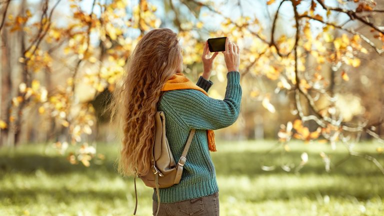 Für den goldenen Herbst, 4 günstige Smartphones mit guter Kamera Eine Person steht im Herbst unter einem Baum und scheint die bunten Blätter daran zu fotografieren.